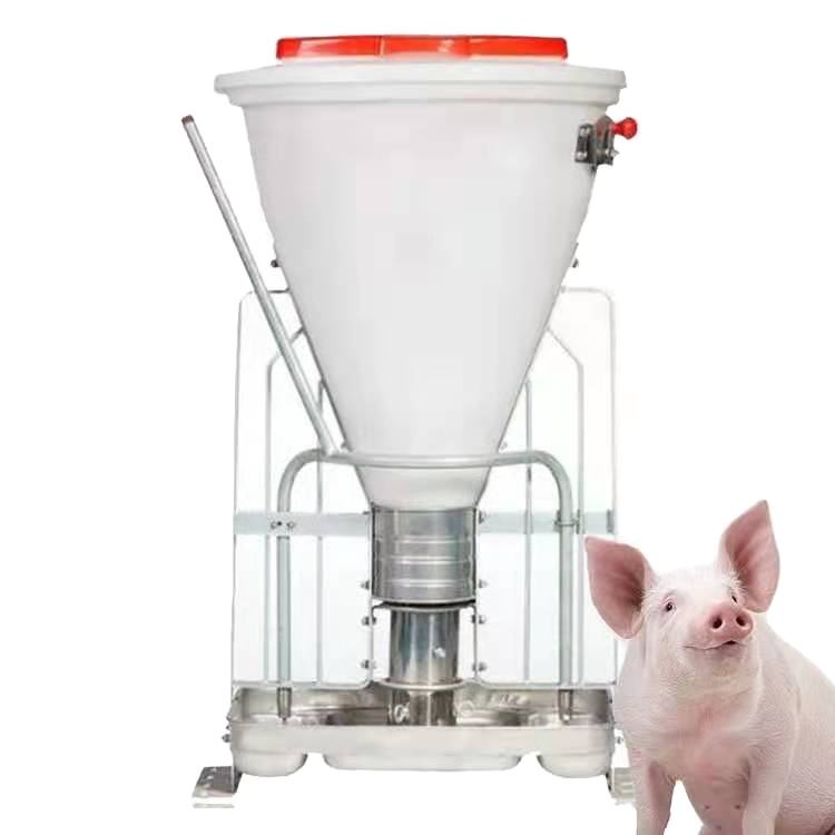 Automatic Feeder Equipment Wet and Dry Feeder for Pigs Feeders – Pig ...